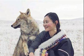 成都80后美女养狼做儿子,抚养3个月退回草原,11年后结局感动数人
