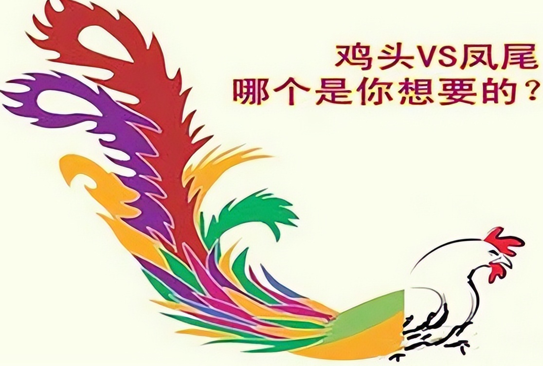 高考后才懂,在重点班当凤尾和普通班当鸡头的差距,希望你选对了