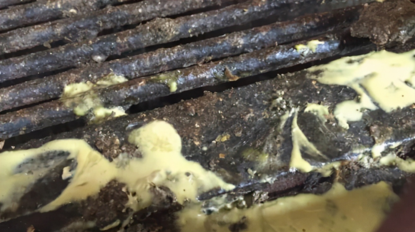 新生仔猪腹泻综合征