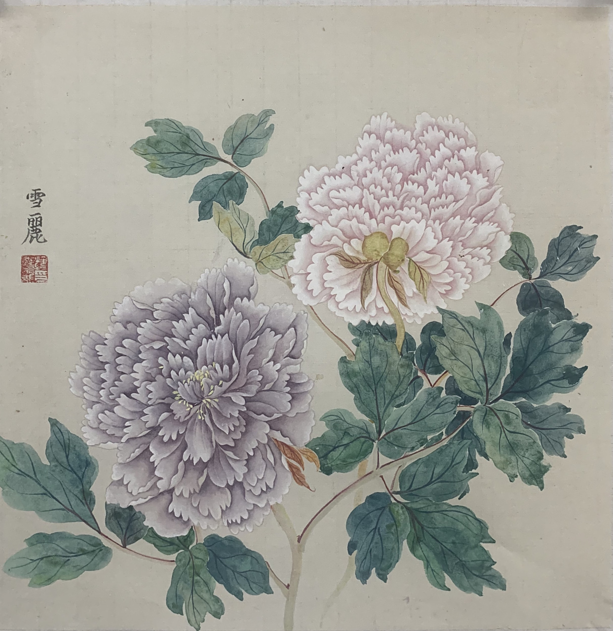 清新典雅 设色清丽|赏画家韩雪丽工笔花卉