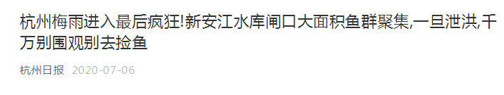 热点|新安江水库飞出上百元一斤的千岛湖?胖头鱼？场面震撼！官方：别去