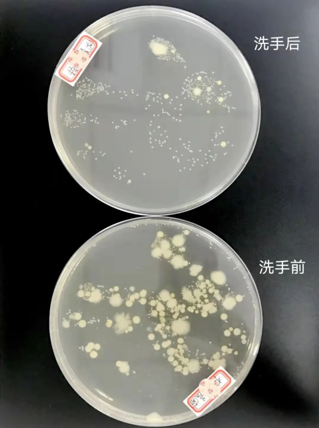 小小习惯大健康,科学洗手伴成长