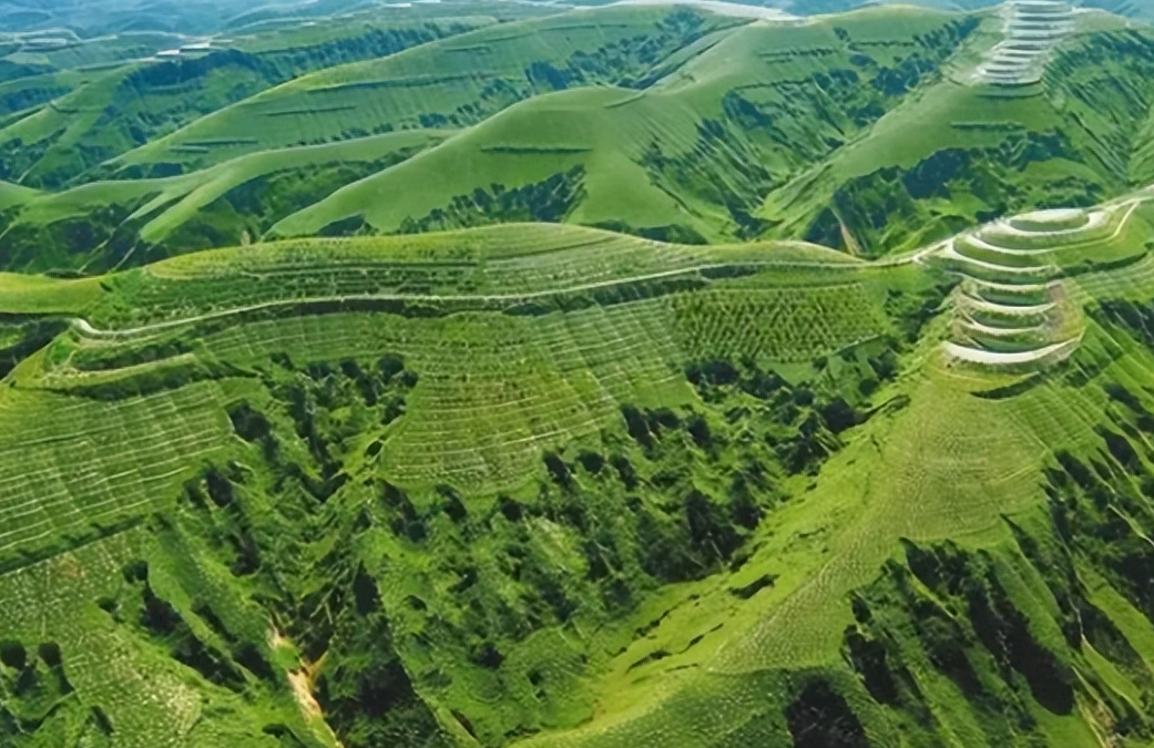 黄土高原植树40年,植被覆盖率达63,未来黄河水质改善吗?