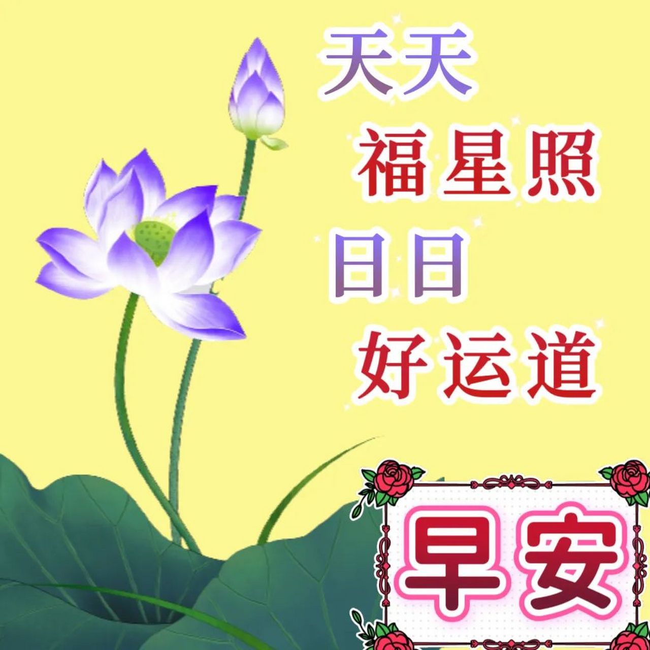 最新版漂亮早上好问候美图,吉祥如意早上好! 早上好!打开,是祝福.