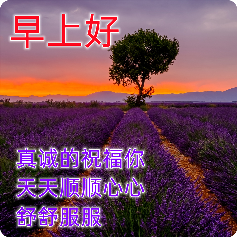 慰问家人朋友早上好图片大全集,亲们早上好最新图片,早晨问候语