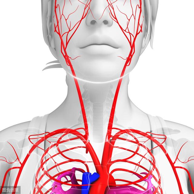 颈动脉堵塞后,头部和面部反应最明显,平时注意观察