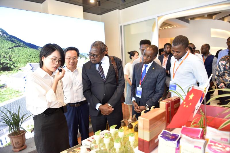 衢州的区域外贸产业绿色发展,对经济转型起到哪些作用?