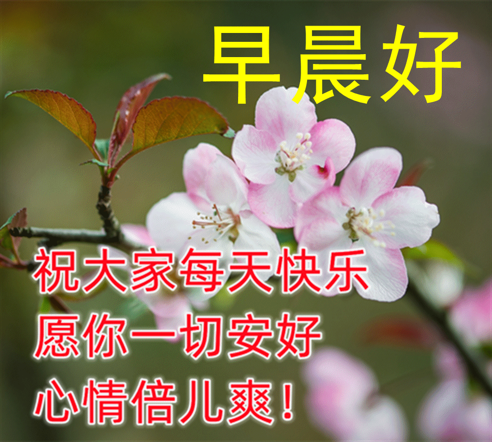 夏季清晨温暖人心的早安问候语录大全 早上好问候唯美温馨图片