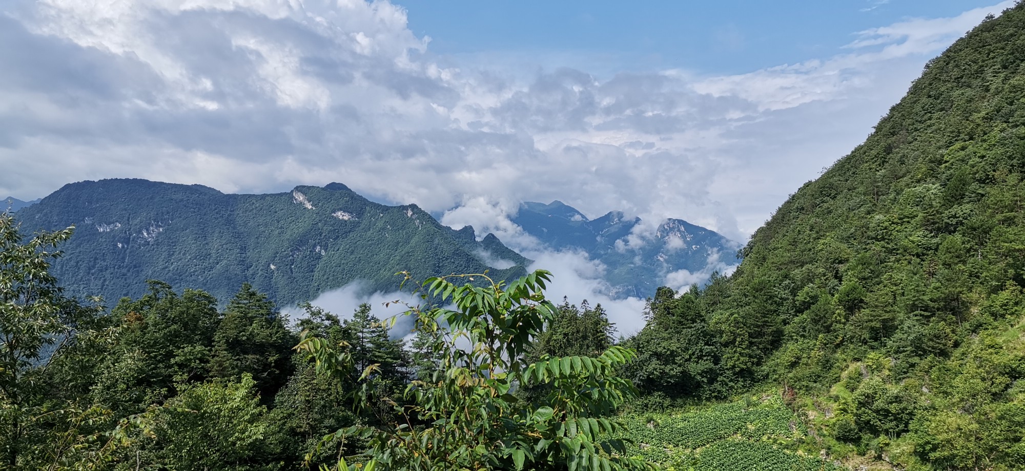 武汉退休教师刘建国等自驾到湖北建始长岭岗林场做公益环保宣传