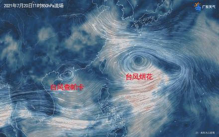 6号台风烟花图片