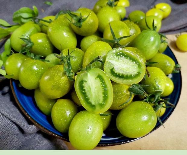 难怪青口蜜小番茄能火爆出圈,不仅脆甜爆浆,还能保护视力