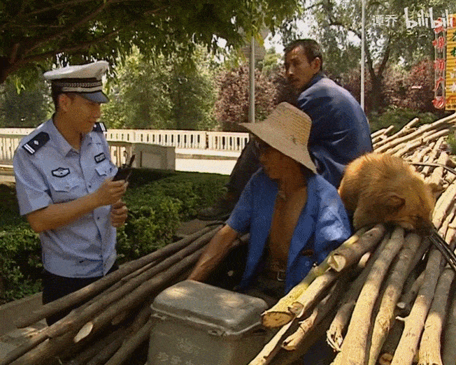652_522gif 动态图 动图
