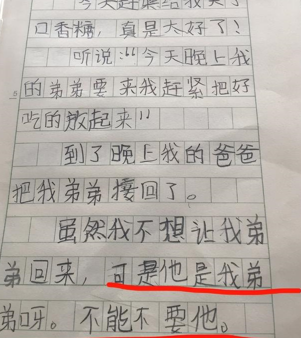 "爸爸看手机找美女"!小学生"记仇本"火了,妈妈:好孩子