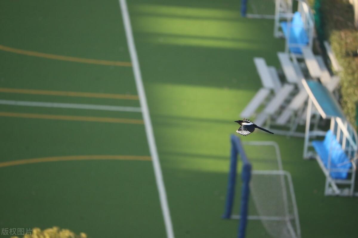 地产巴菲特黄木顺2022年3季度持有哪些股票