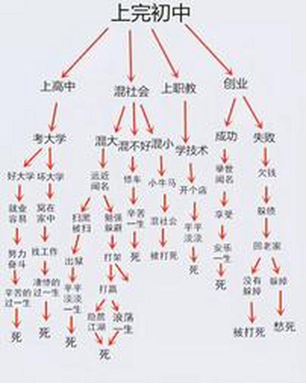 上完初中后,孩子都去了哪里?