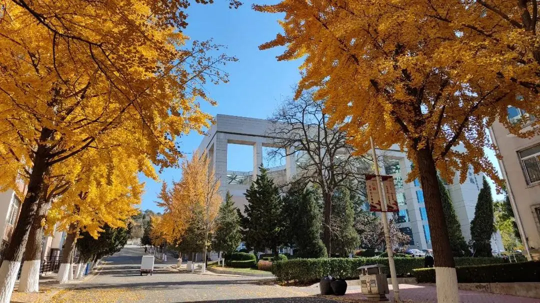 美术生快来安利!这八所轻工院校设计专业实力不输美院