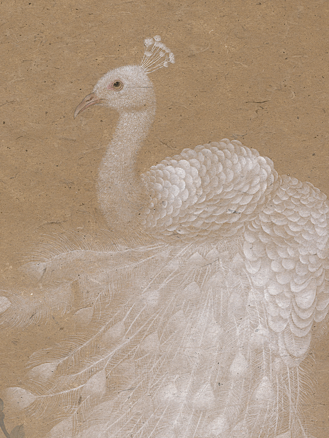 品读丨王德芳 · 祥瑞锦雀