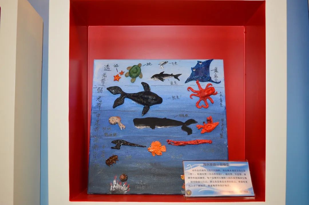 上海市仙霞高级中学举行海洋科普馆揭牌仪式|宽创海洋科普馆设计