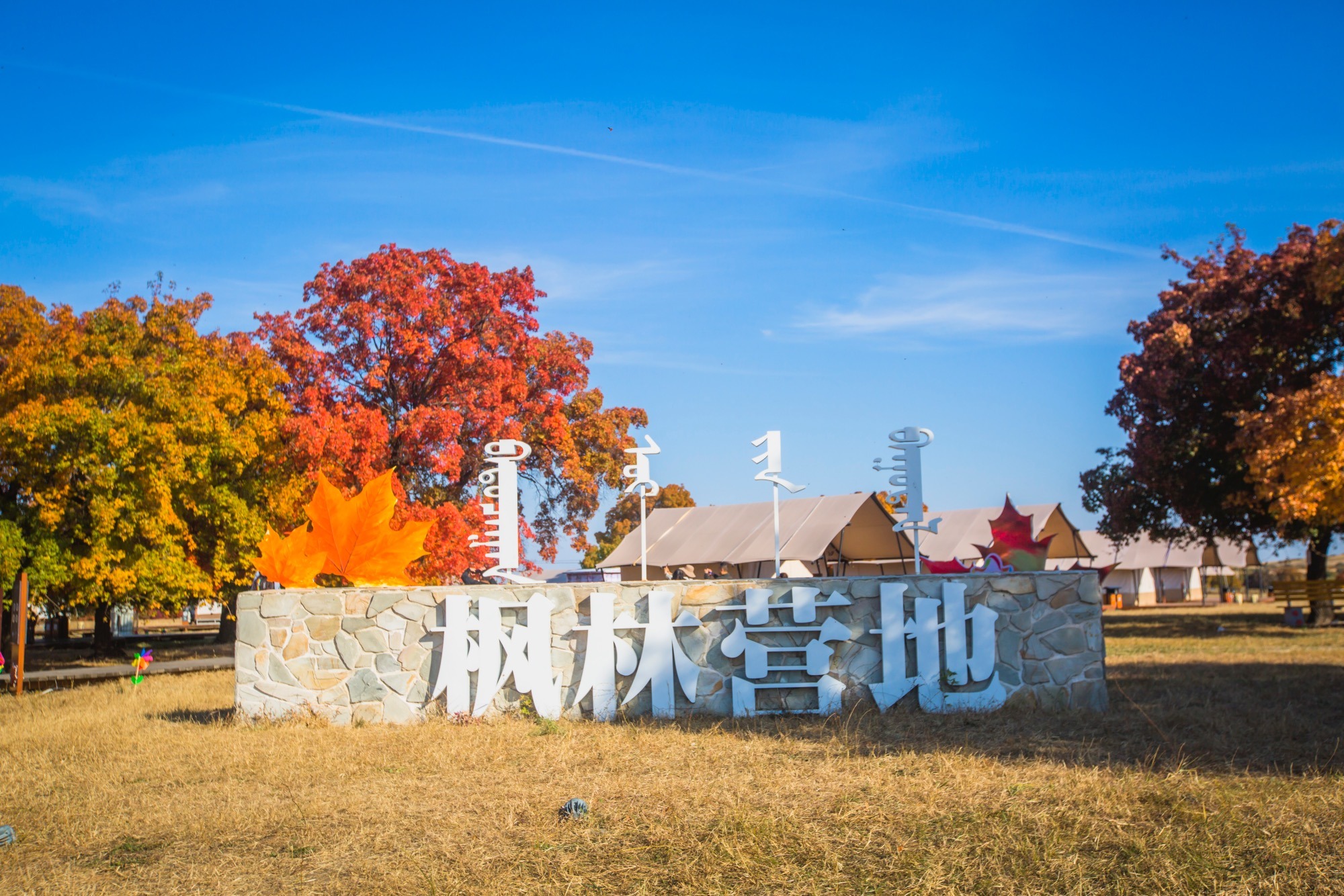 秋天正是看枫叶的最佳时机,十月中旬,位于内蒙古科右中旗的五角枫景区