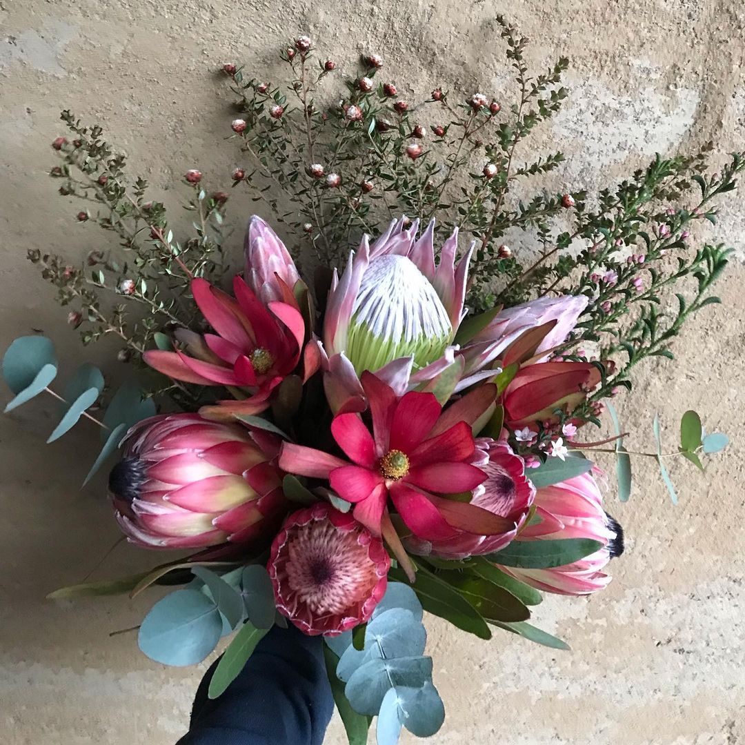 这几种花卉搭配在一起,还有更惹眼到组合吗?