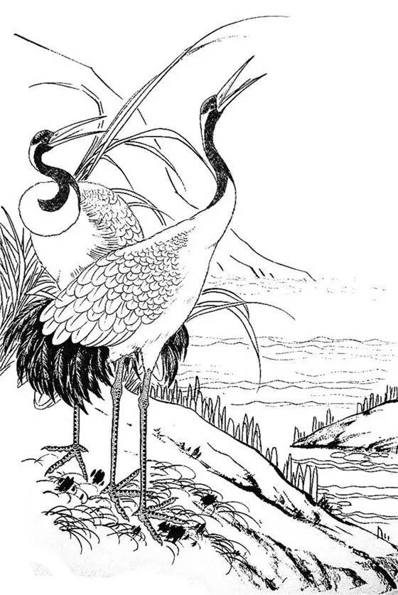 一组白描仙鹤,惟妙惟肖︱艺术名画