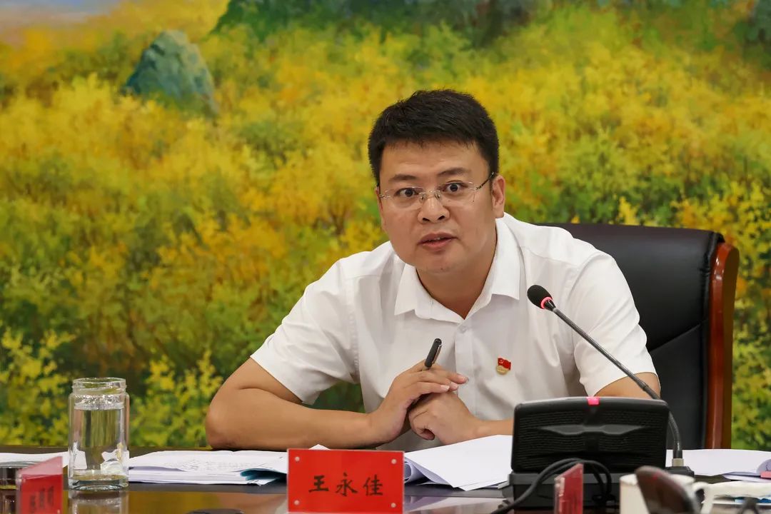王永佳主持召开2021年度县政府党组第三次会议