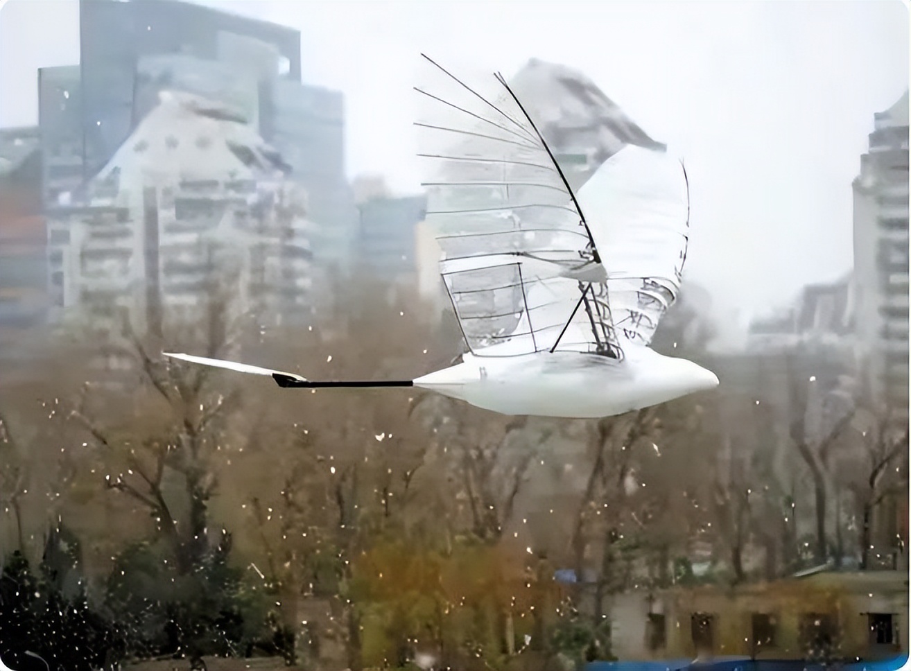 西工大仿生鸟飞行器取得重大突破,未来军事侦察的作用可能非常大