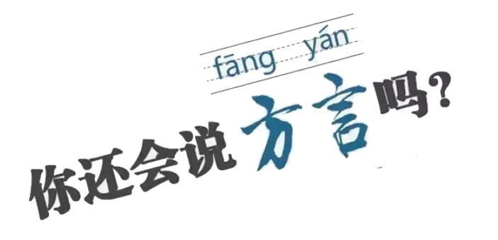 【文旅资讯】感受金山文化 体会方言魅力