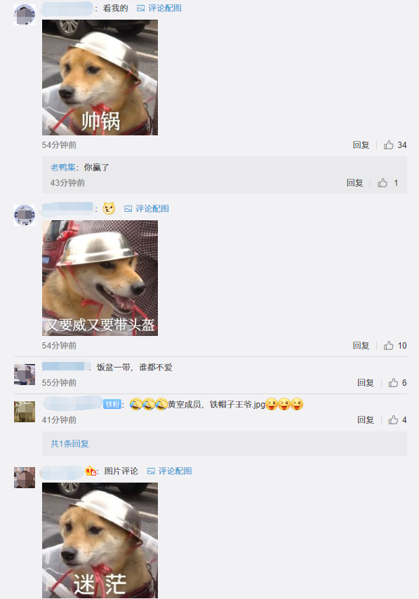 推荐为了骑行安全,连狗狗都戴头盔了!表情包火遍全网,网友:太可爱