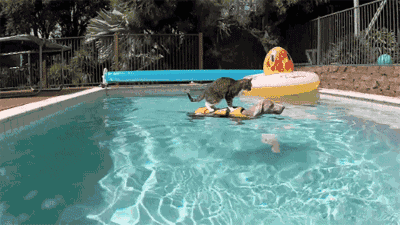 西安向南:在秦岭里的亚洲第一天坦奇观中,感受这个夏天的清凉