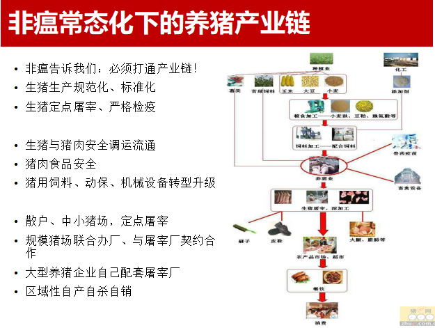 李俊柱:非瘟常态化下的中国养猪业