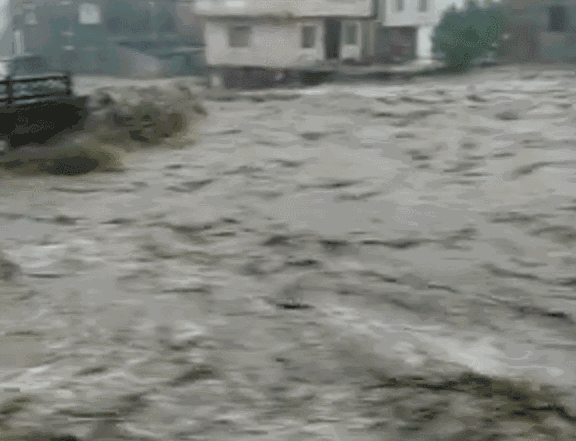 576_441gif 动态图 动图