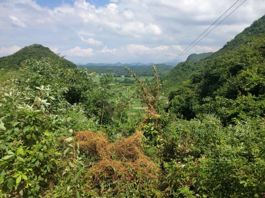 探访红军长征走过的桂北古村1:广西全州县石塘镇的隘口嚼拉口