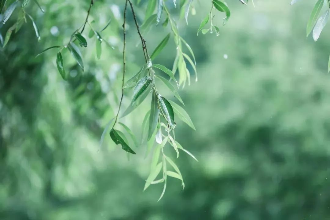 南枝蕾放因风暖,北苑诗成笑尔非 我本多情寻逸客,何妨杖履问青圻.