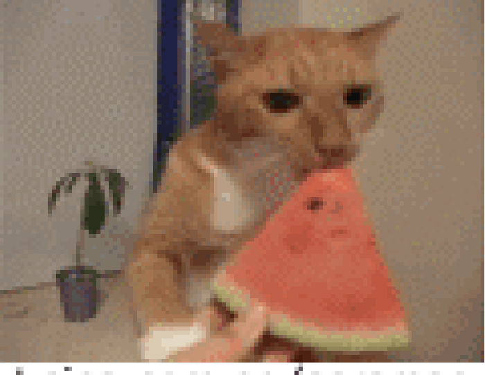 699_542gif 动态图 动图