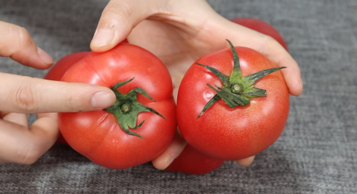 没人告诉你怎么区分激素西红柿,我给你看,又实用又长见识