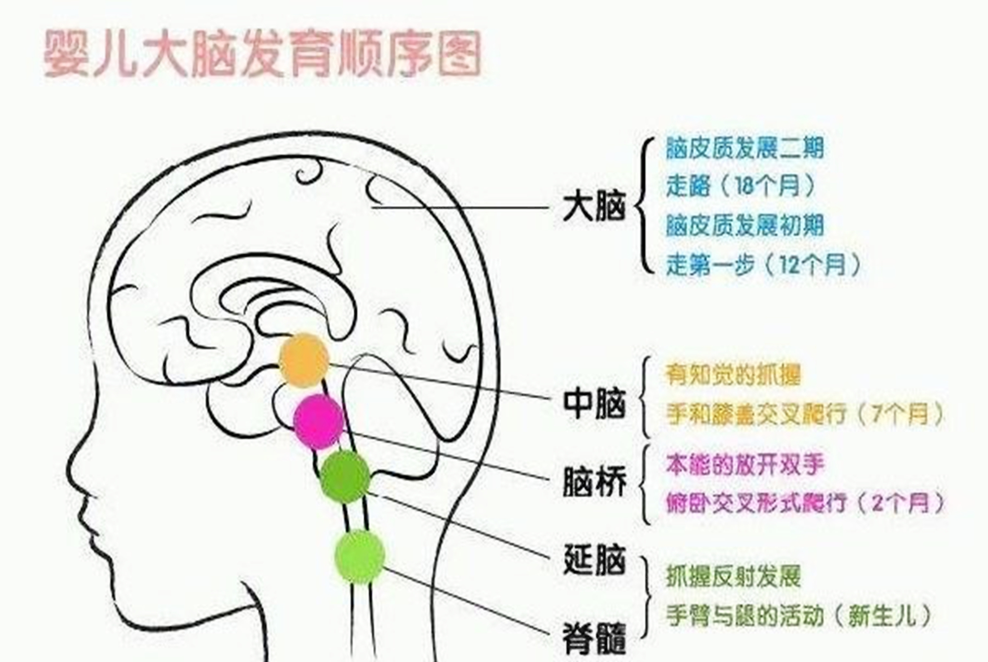 小孩子这个时间睡觉,大脑或会更聪明,还可以长高,赶快收藏