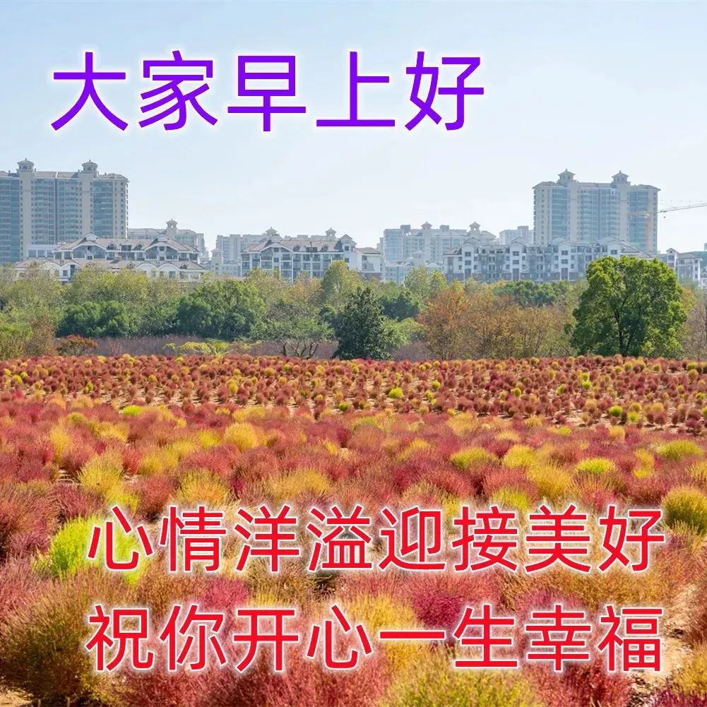 春季清晨适合微信群发早上好表情图片 最漂亮早安问候语图片