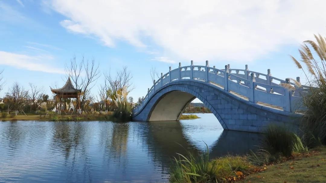 昌宁湿地公园的美景图片