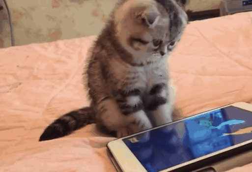 513_352gif 动态图 动图