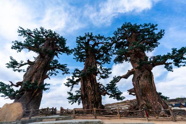 神木市:杨家城多措并举全面推进高a级景区建设