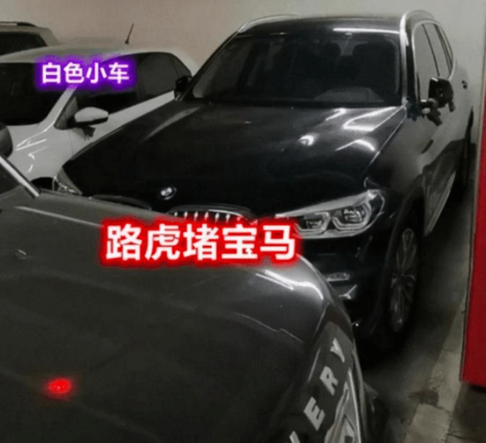 路虎堵宝马365天后续,女网红车主被警方抓走,自导自演一场闹剧