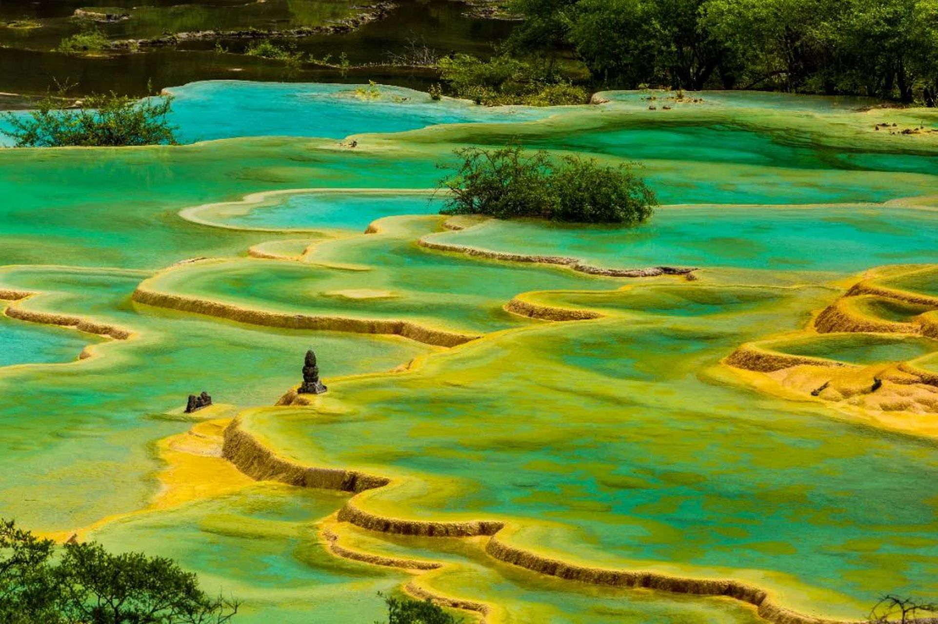 四川黄龙景区:是中国唯一保护完好的高原湿地,以彩池,雪山,峡谷,森林"