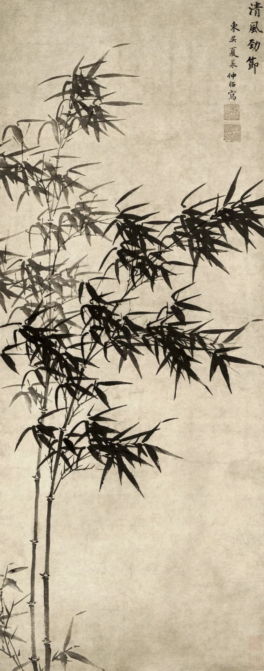 中国画里的"竹",历代文人的最爱