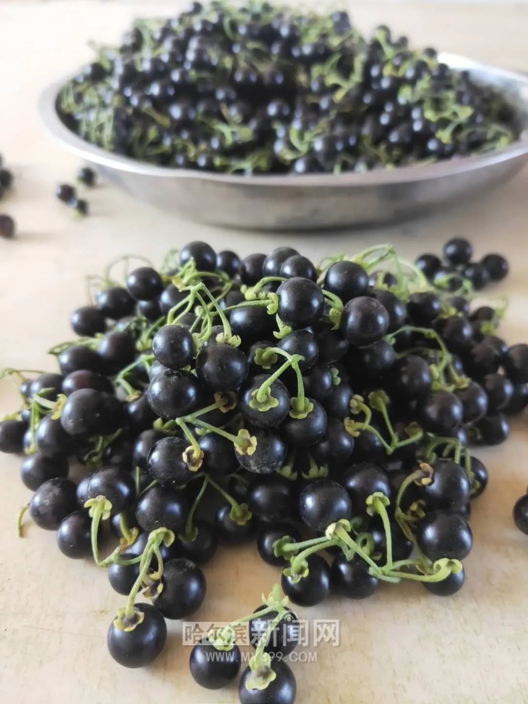 还记得小时候吃的"甜星星" 吗?|如今成乡亲们致富的"宝疙瘩"