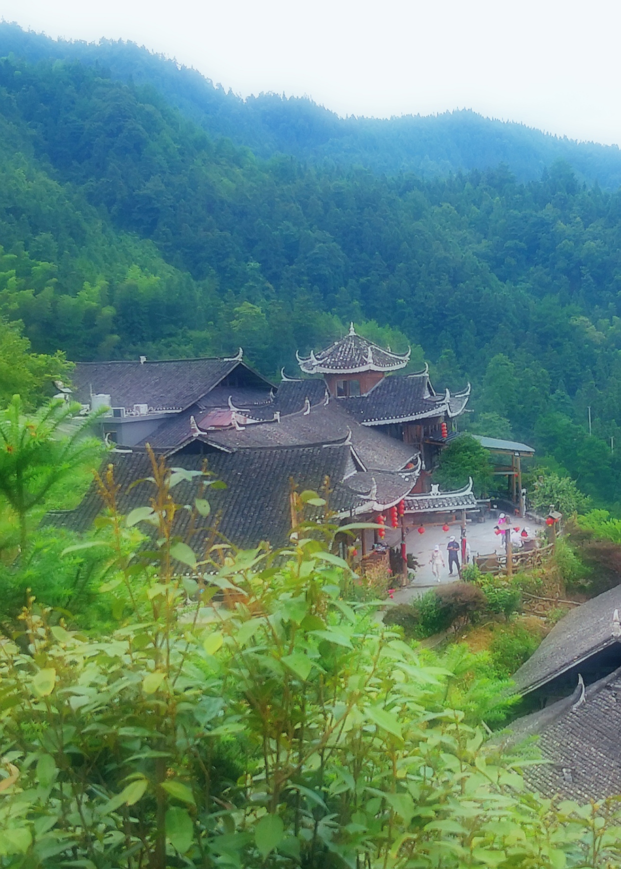 红色雪峰山:雁鹅界晒红