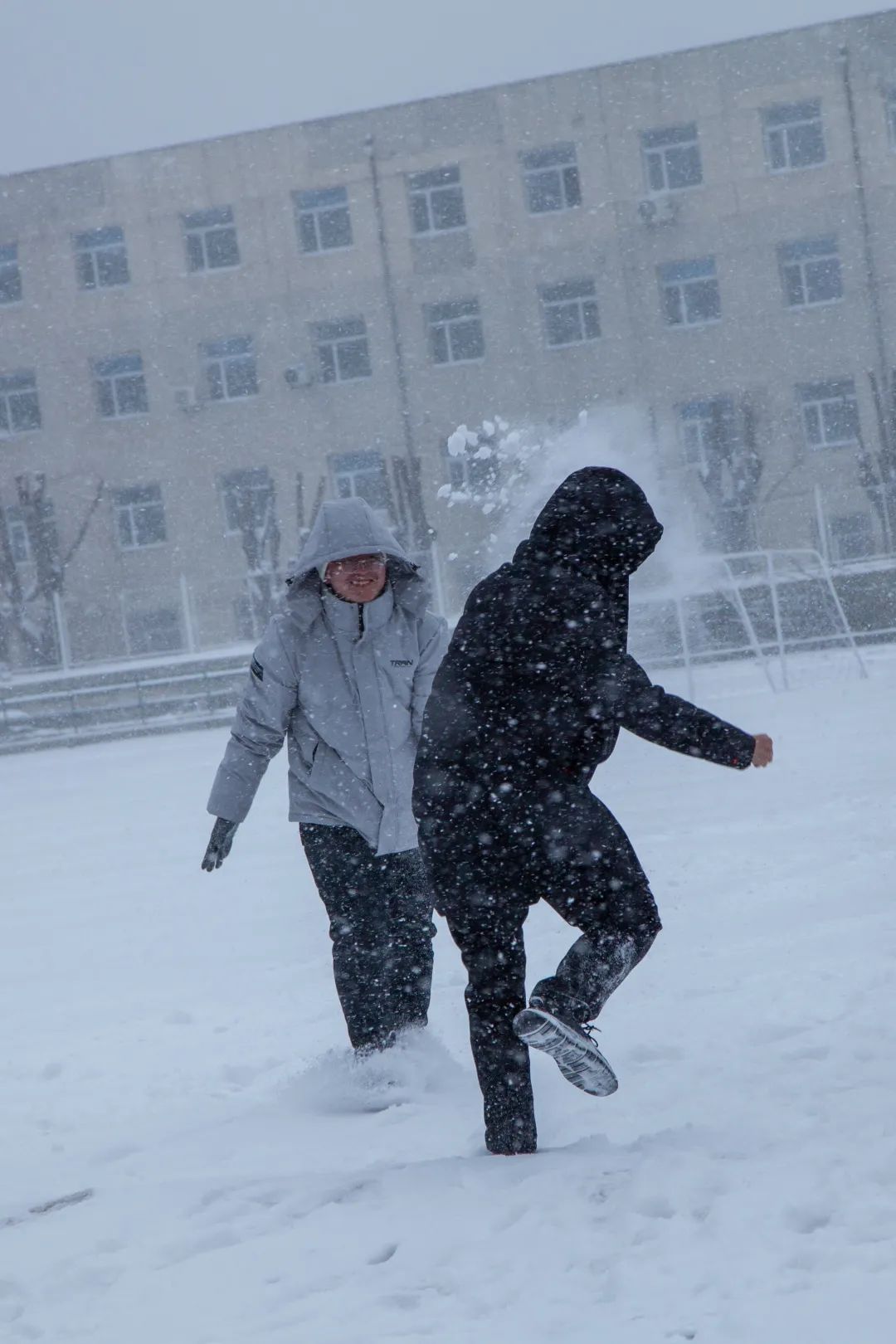 打雪仗真实图片图片