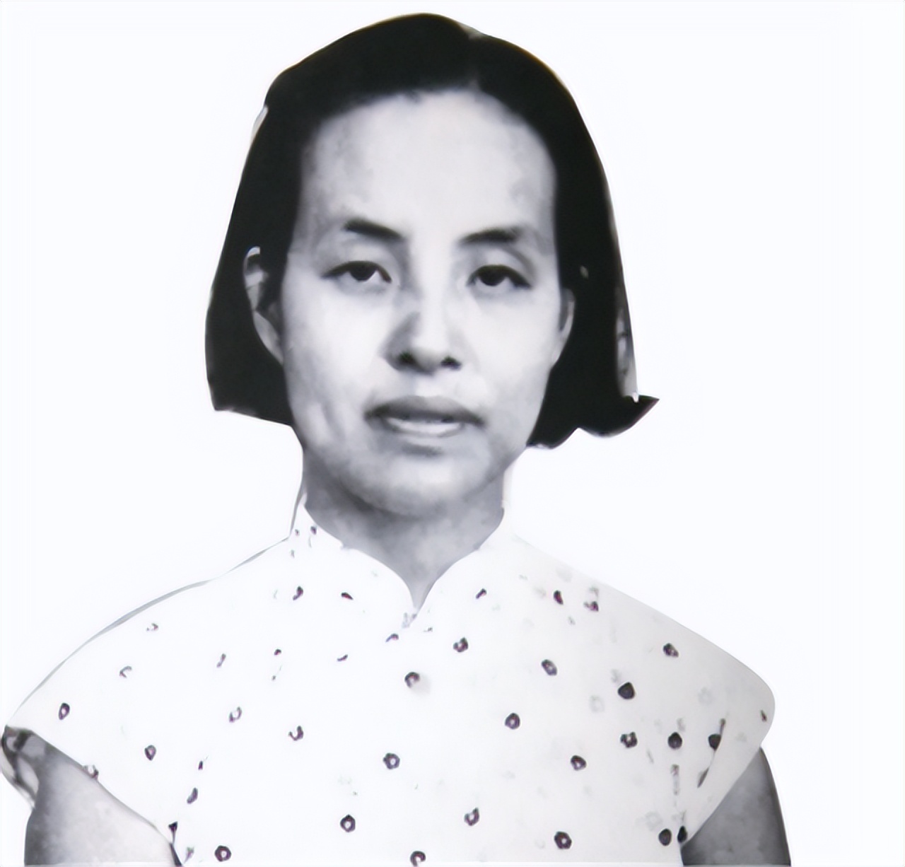 浦氏三姐妹:浦洁修,浦熙修,浦安修