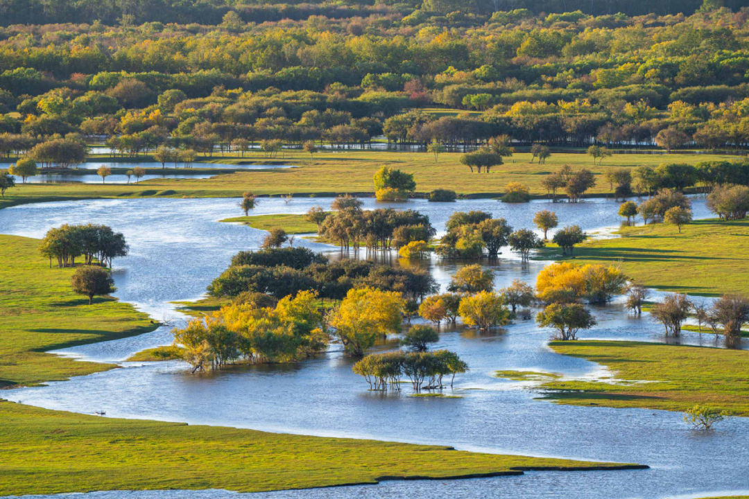 旷野天低水清云近微风吹过走在草地上幽幽的草香扑面而来
