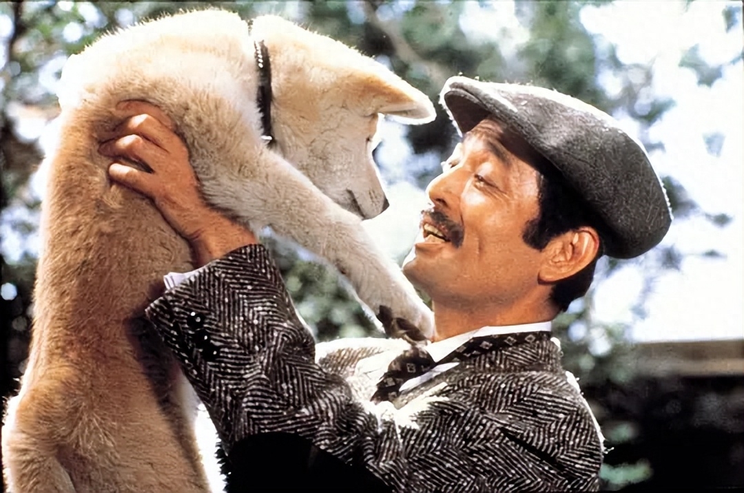 这部日版《忠犬八公》电影,才更接近真实的凄凉人性,更值得一看